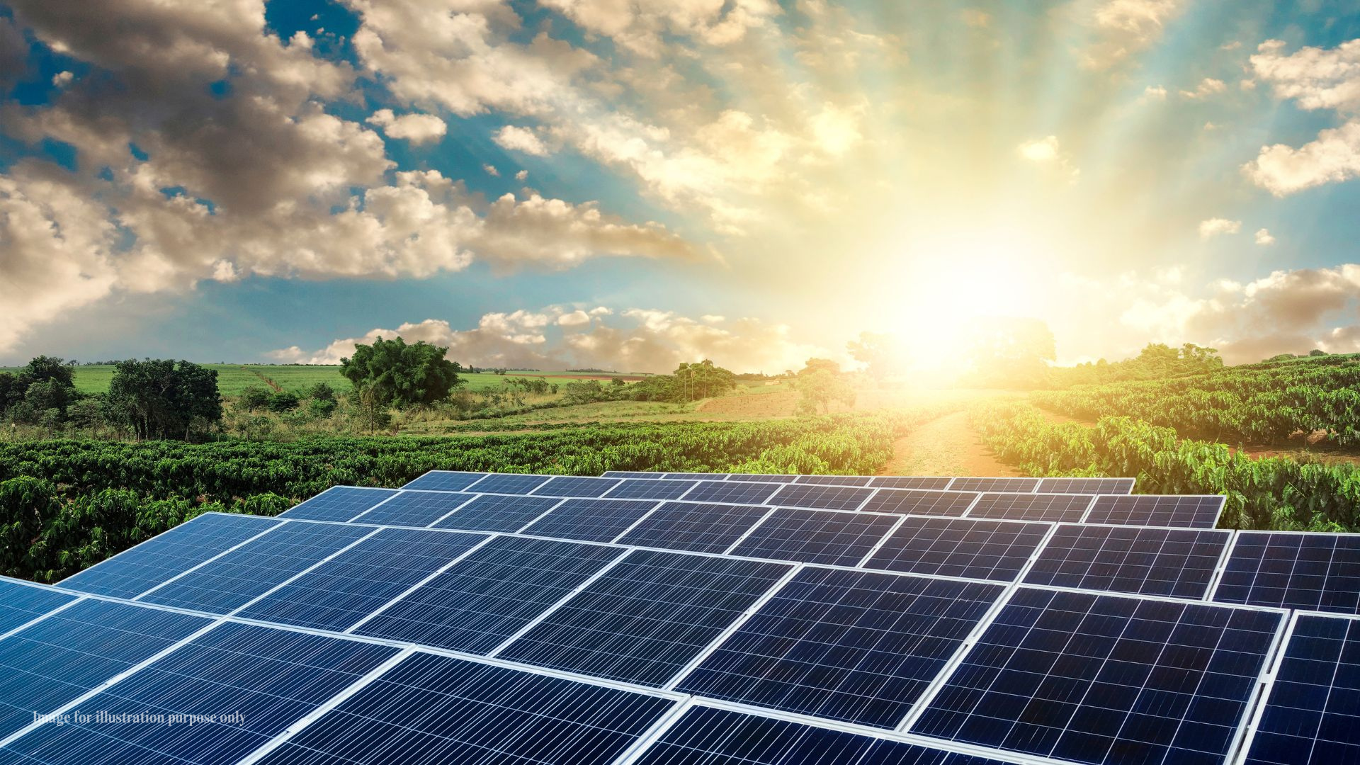 Solar parks